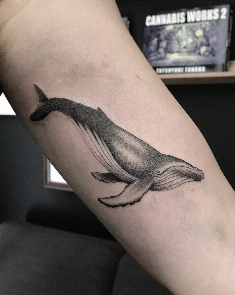 nico-tatuto-tatoueur-bordeaux-talence-baleine-cachalot-fin-minimaliste-realiste