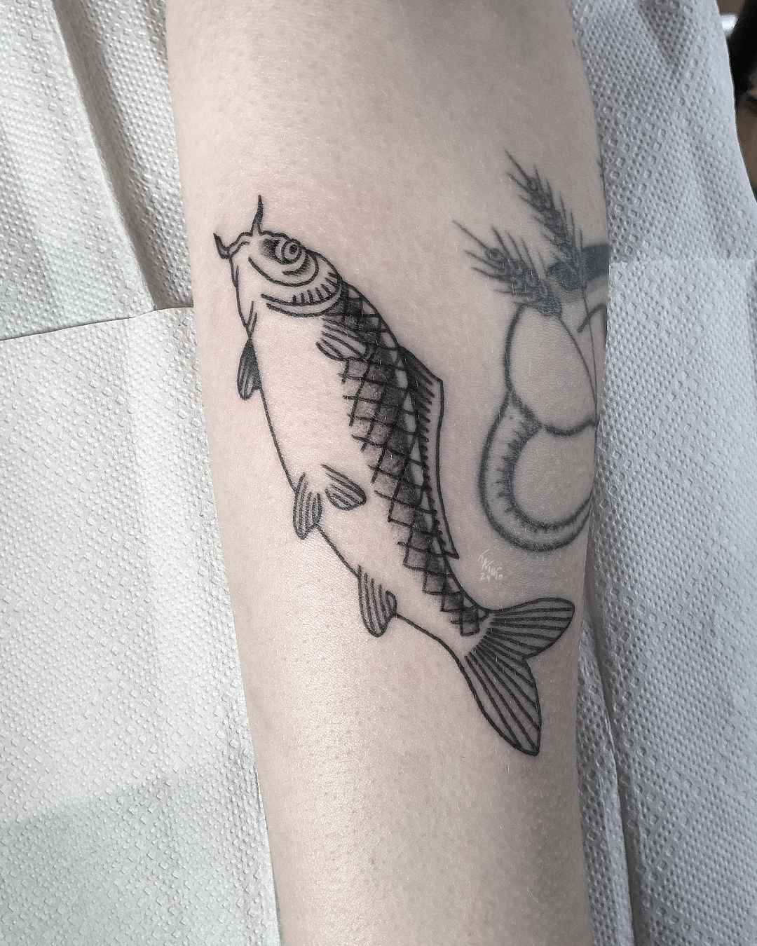 nico-tatuto-tatoueur-bordeaux-talence-poisson-fish-koi-minimaliste-petit-2