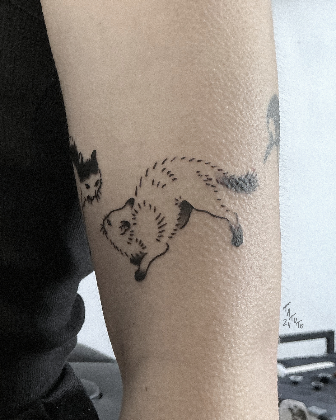 nico-tatuto-trillaud-cat-tattoo-flash-tatoueur-bordeaux-minimaliste-japanese-japonais-estampe-ukiyoe-2024-3