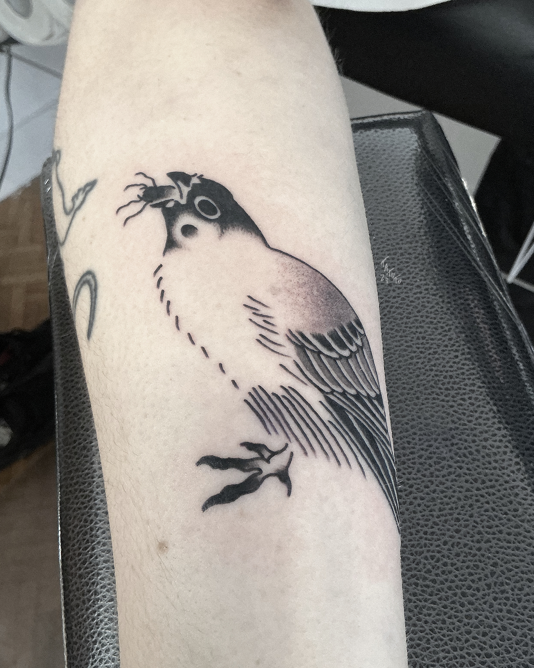 nico-tatuto-trillaud-tatoueur-bordeaux-tattoo-flash-bird-trad-traditionnel-japanese-black-and-grey-estampe-ukiyoe-2024-1