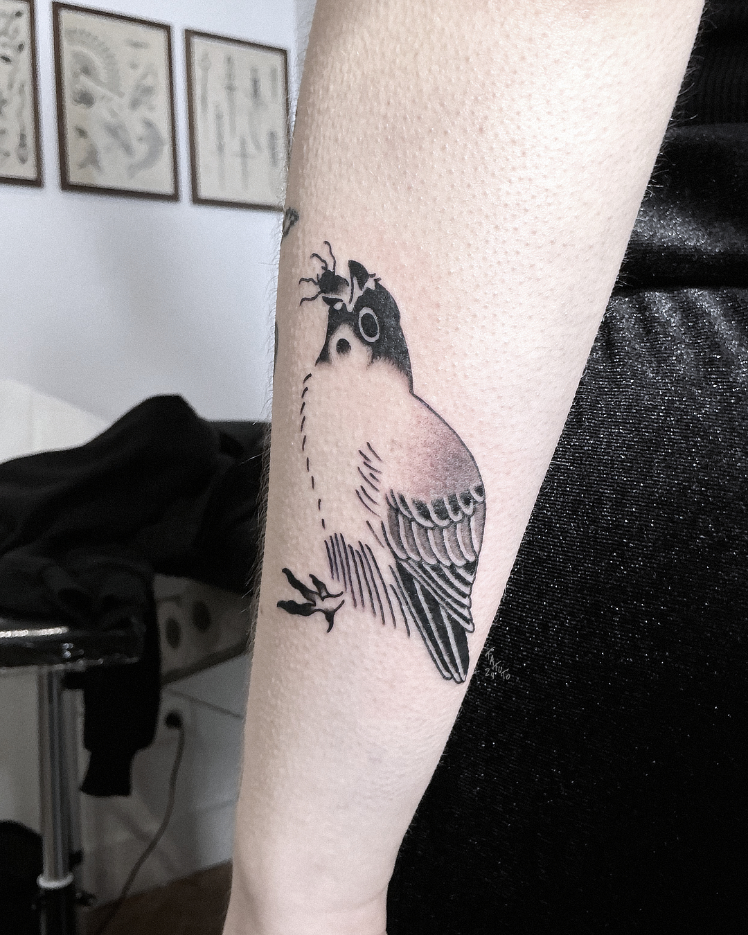 nico-tatuto-trillaud-tatoueur-bordeaux-tattoo-flash-bird-trad-traditionnel-japanese-black-and-grey-estampe-ukiyoe-2024-2